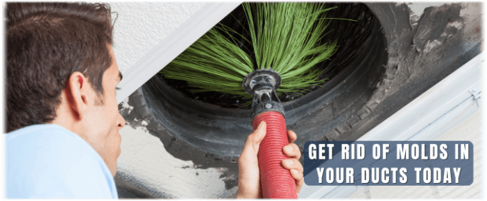 Air Duct Mold Removal in Mclean VA