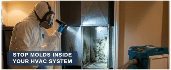 HVAC Mold Removal Mclean VA